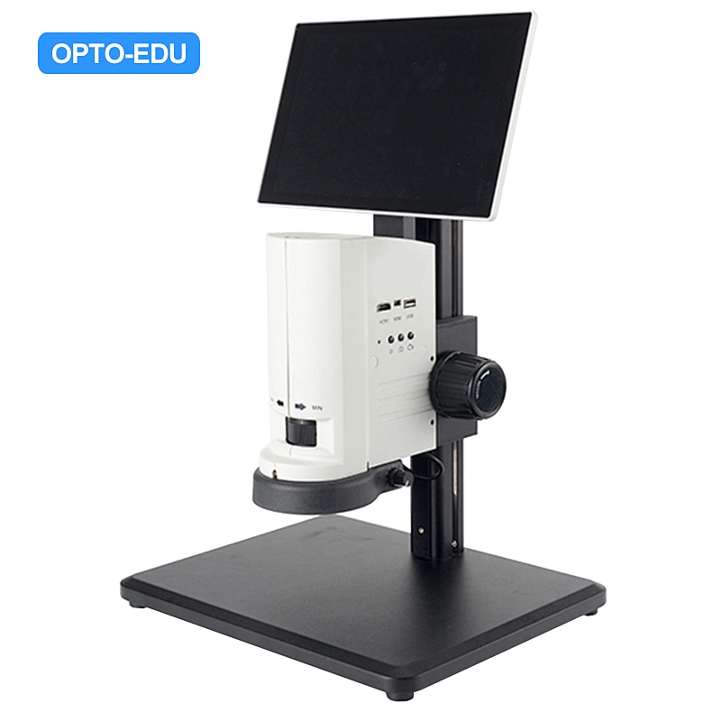 Microscope stéréo numérique LCD, 10,6