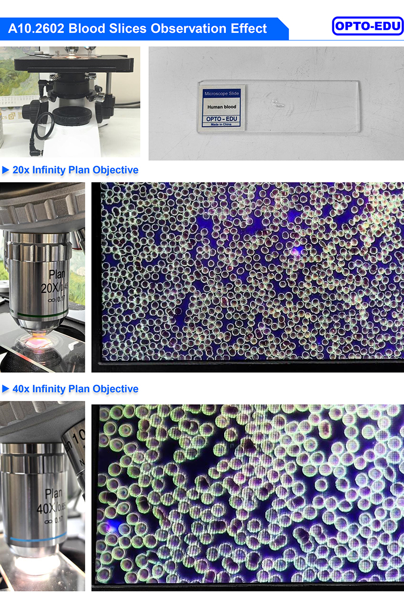 5W LED Microscope Illuminator