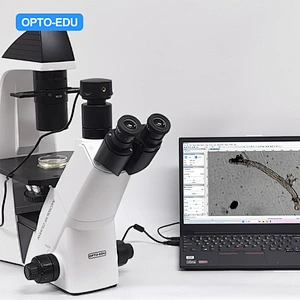 Microscope inversé, transmission de la lumière