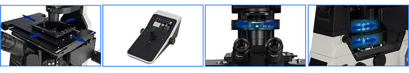 Fluorescence Confocal Microscope