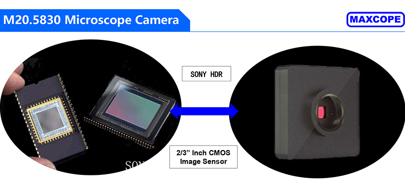 Full Auto Industry Microscope