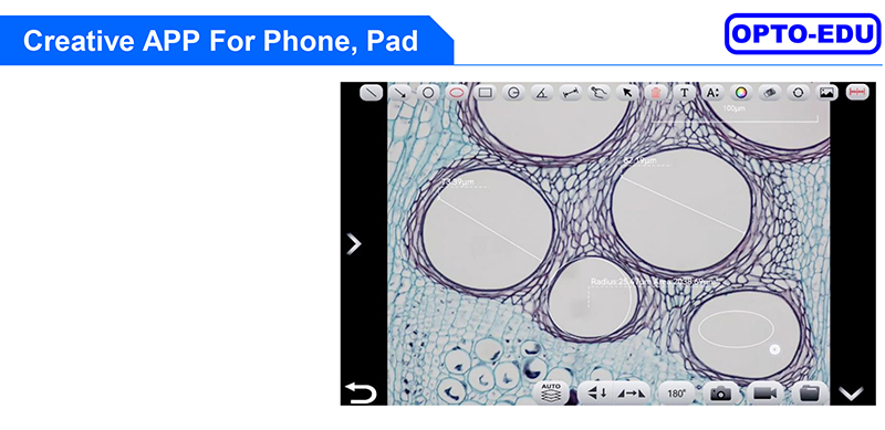 usb microscope camera