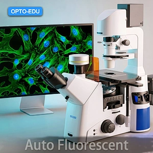 How to Select Auto Inverted Fluorescent Microscope?