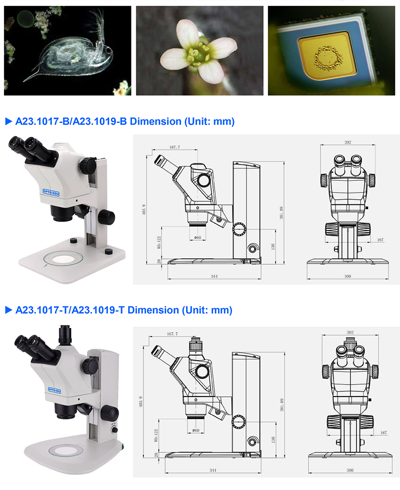 dark field polarizing microscope