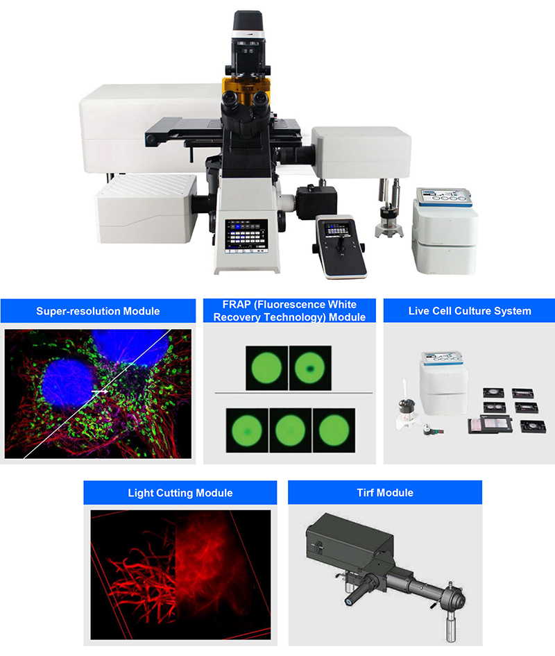 Fluorescence Confocal Microscope