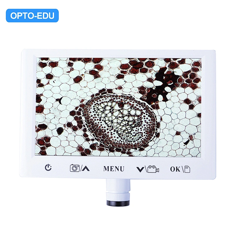 Appareil photo numérique LCD 7 