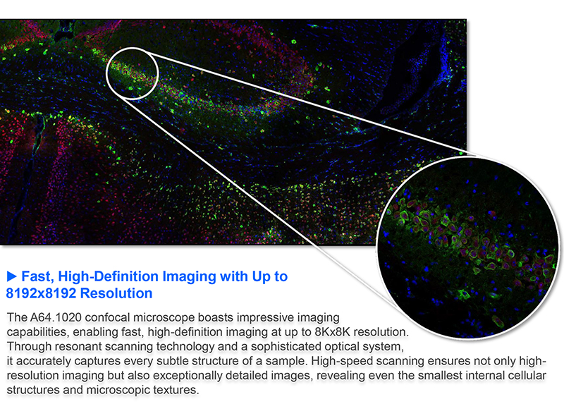 NIR Laser Confocal Microscope