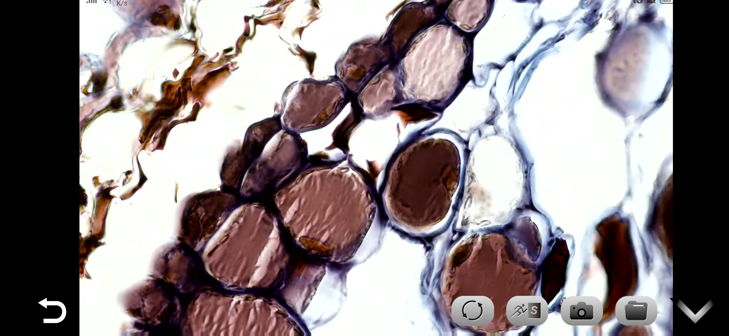Screenshot_20230223_155420_com.kopa_android.kopa_.jpg