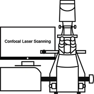 What is Confocal Laser Scanning Microscope (CLSM)?