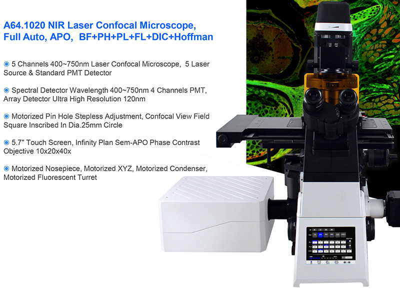 NIR Laser Confocal Microscope