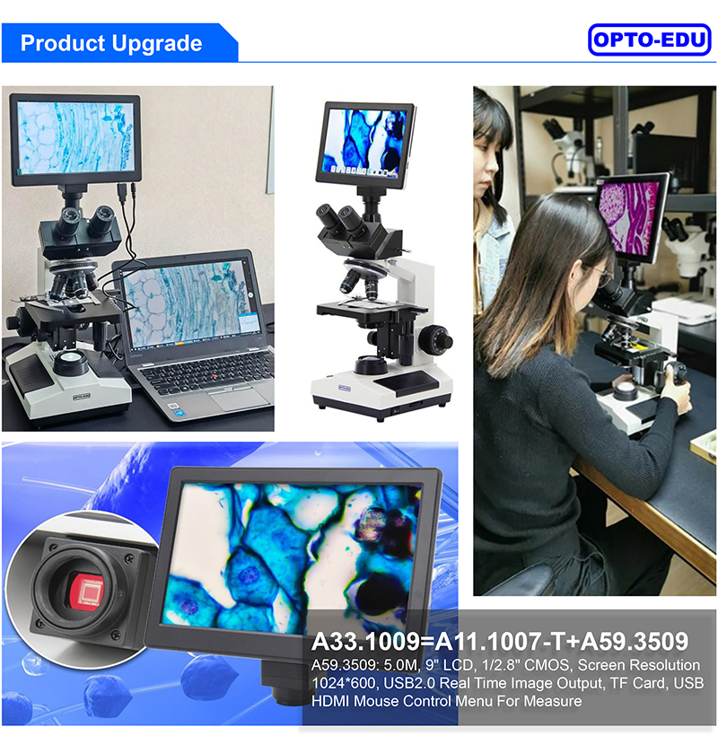 Asmus Tietchens - Biotop エクスペリメンタル Asmus Tietchens – Biotop (LP) – pianola records