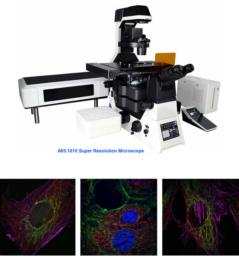 apo motorized dic microscope