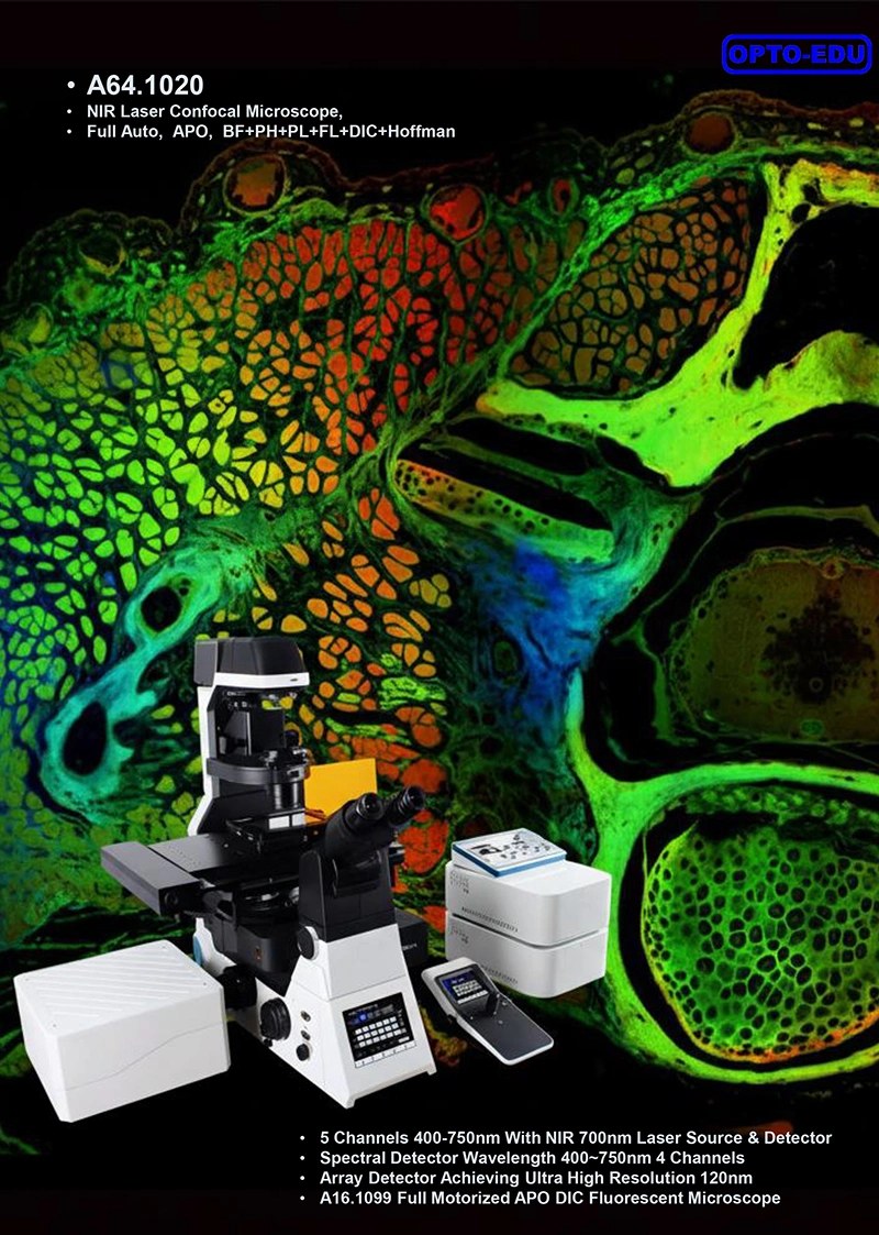 Fluorescence Confocal Microscope