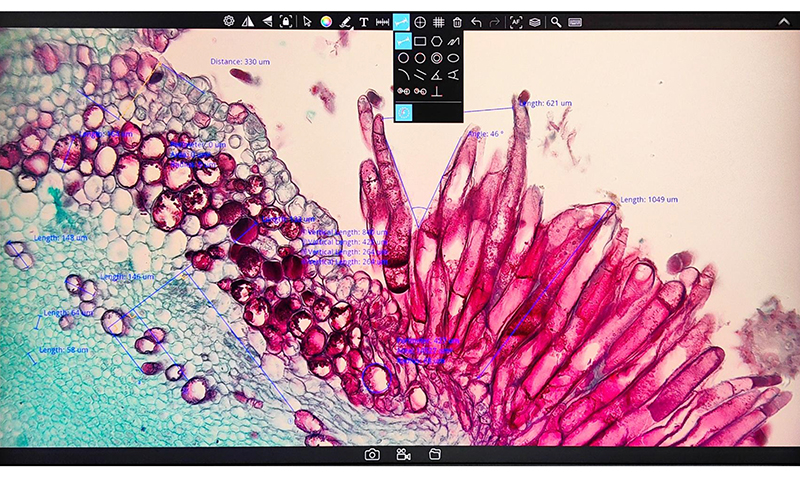 Flourescent digital microscope camera