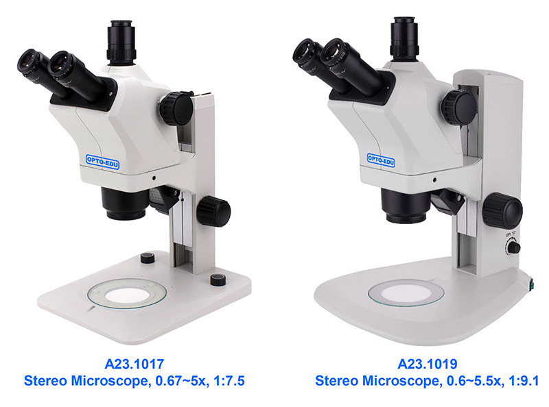 stereo microscope
