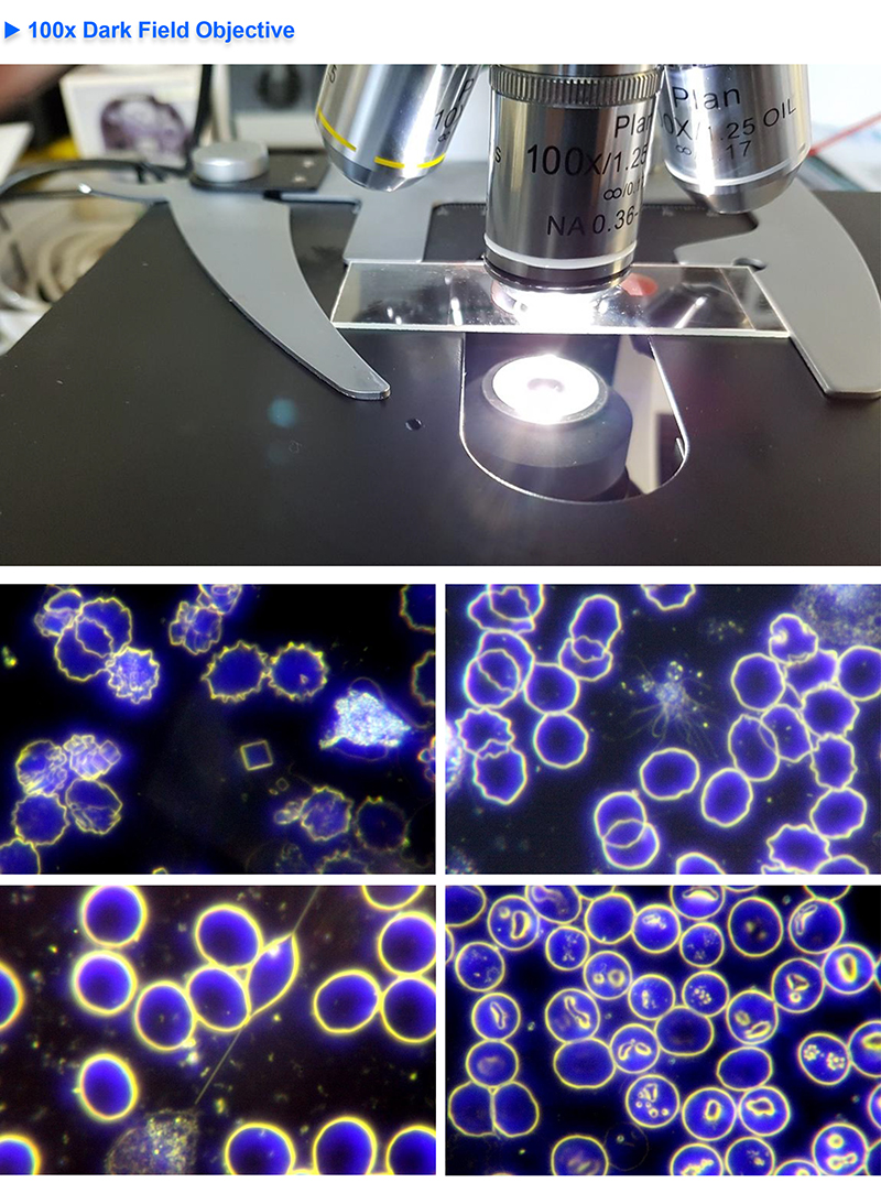 Professional Optical Microscope