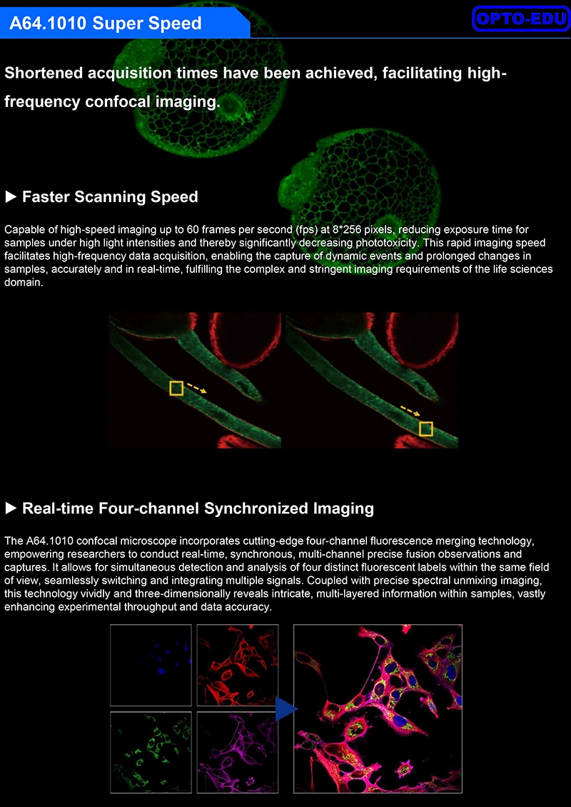 full auto confocal imaging system