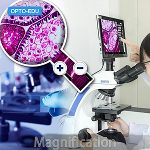 How to Calculate Microscope Magnification?