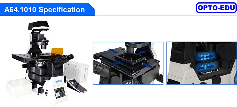 apo motorized dic microscope