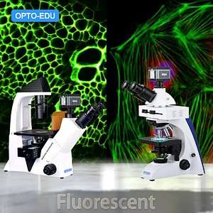 Opto-Edu 