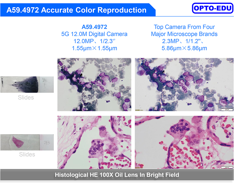 usb microscope camera