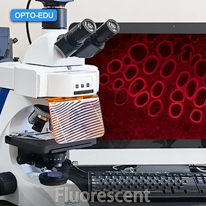 How to Select Fluorescent Microscope？