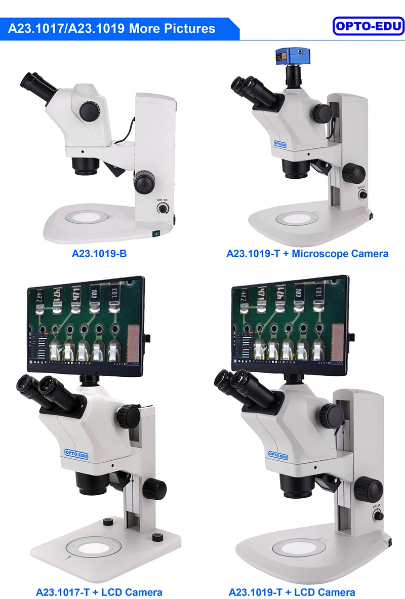 dark field polarizing microscope