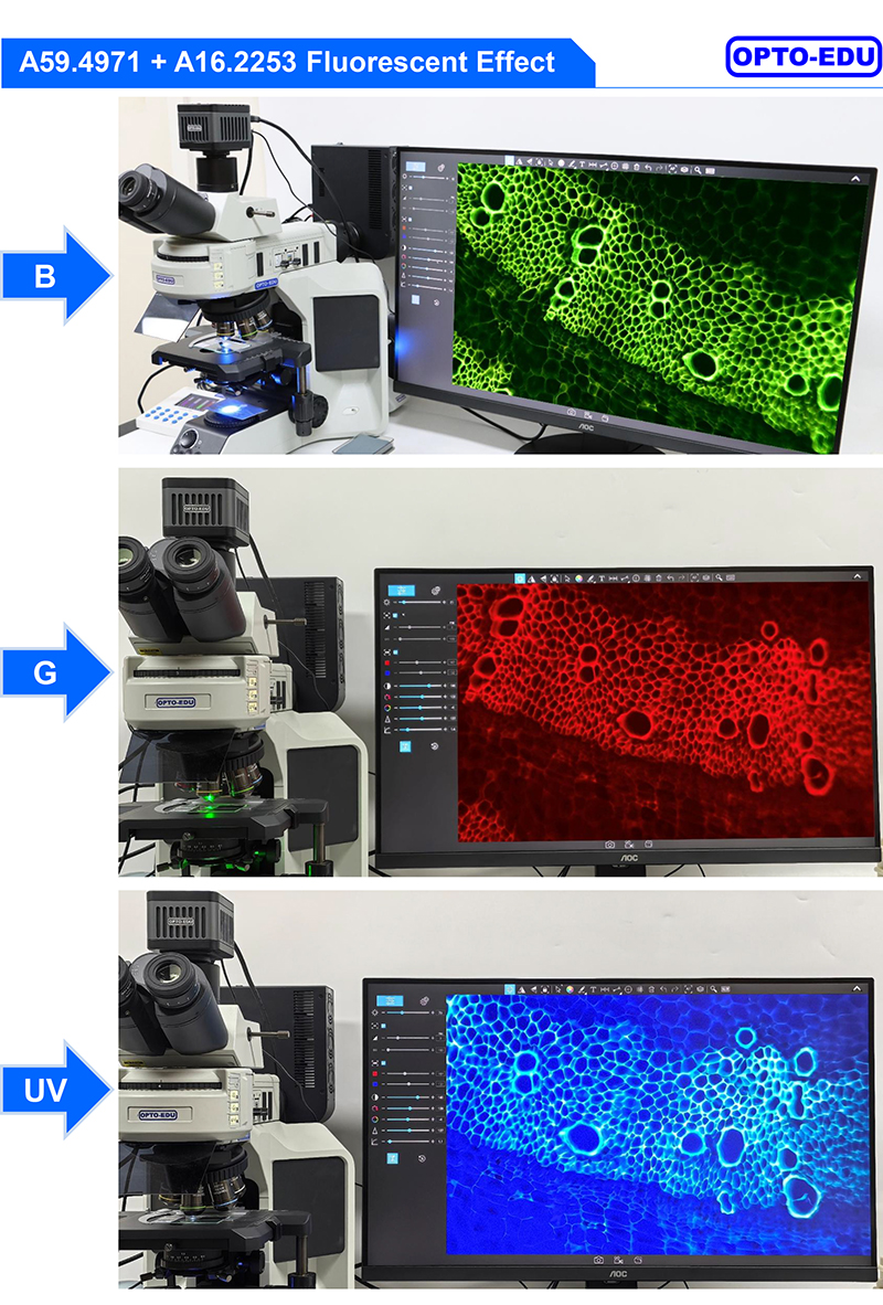 digital microscope camera