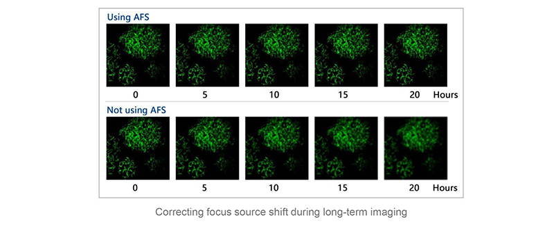 Fluorescence Confocal Microscope