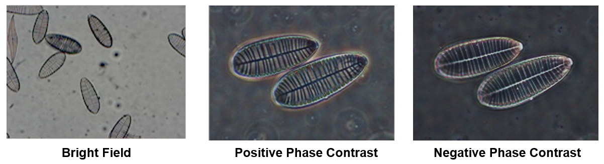 Different phast contrast method