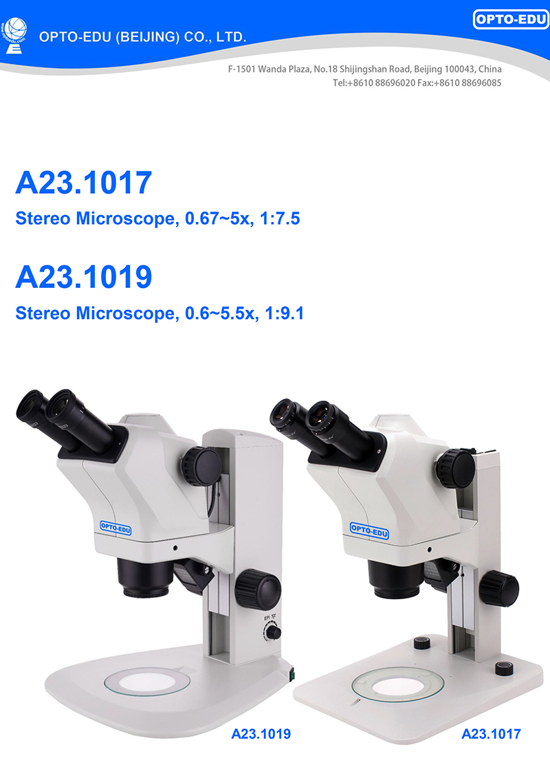 apo zoom binocular microscope