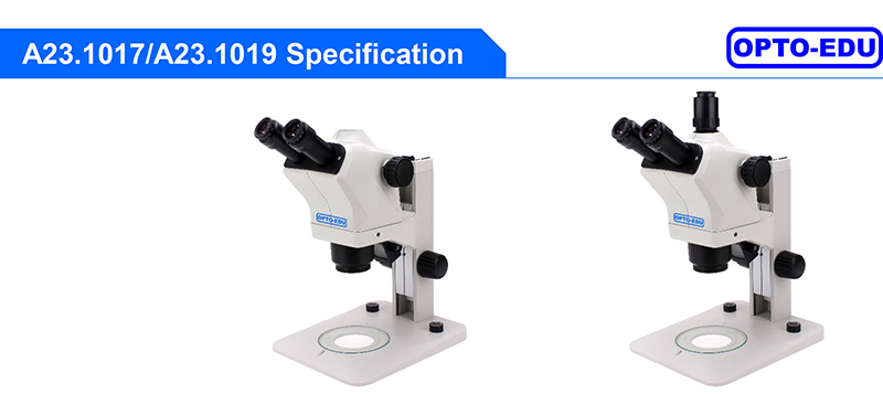 dark field polarizing microscope
