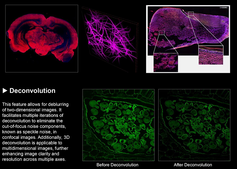 4 laser source confocal microscope