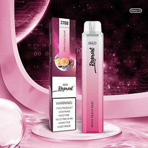 Reymont Meta III Mesh Coil up to 3788 Puffs 21350 Battery 12ML Capacity Disposable Electronic Cigarette Vape pen