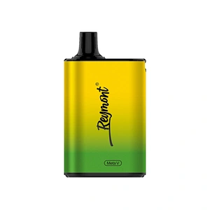 Reymont Meta V Disposable Box Vape pen up to 5022 Puffs Airflow Control Rechargeable Mesh Coil Electronic Cigarette