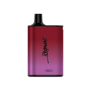 Reymont Meta V Disposable Box Vape pen up to 5022 Puffs Airflow Control Rechargeable Mesh Coil Electronic Cigarette