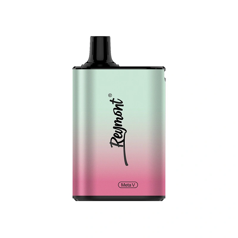 Reymont Meta V Disposable Box Vape pen up to 5022 Puffs Airflow Control Rechargeable Mesh Coil Electronic Cigarette