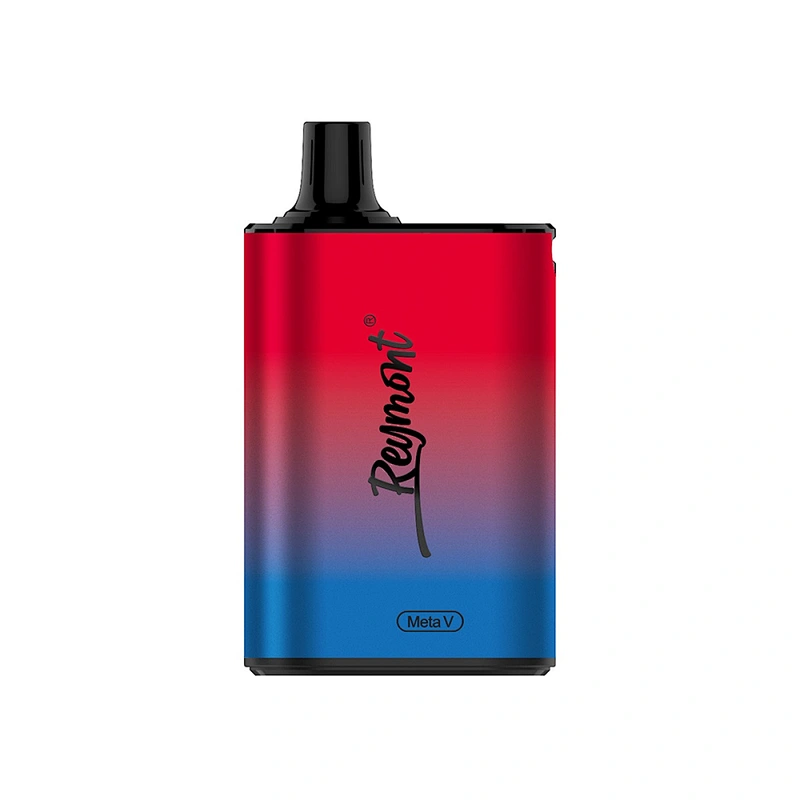 Reymont Meta V Disposable Box Vape pen up to 5022 Puffs Airflow Control Rechargeable Mesh Coil Electronic Cigarette