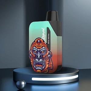 Reymont Meta Pod Replaceable Pod Mesh Coil Up to 3000 Puffs Rechargeable Disposable Electronic Cigarette Vape pen