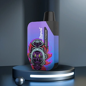 Reymont Meta Pod Replaceable Pod Mesh Coil Up to 3000 Puffs Rechargeable Disposable Electronic Cigarette Vape pen