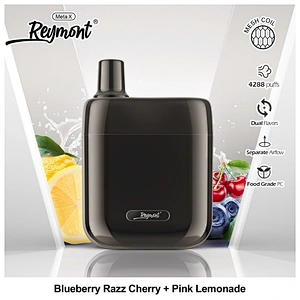 Reymont Meta X Dual Flavors Mesh Coil Up to 4288 Puffs Rechargeable Disposable Electronic Cigarette Vape pen