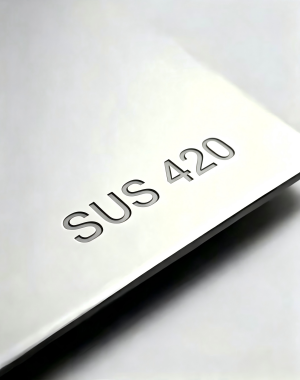 420 Stainless Steel Balls