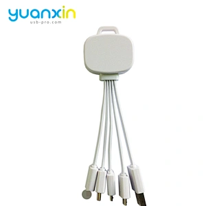Custom 4 in 1 Illume Charging Cable
