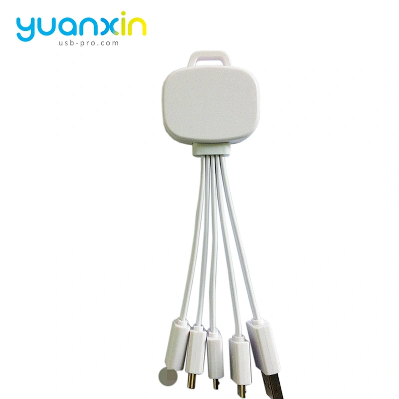 Custom 4 in 1 Illume Charging Cable
