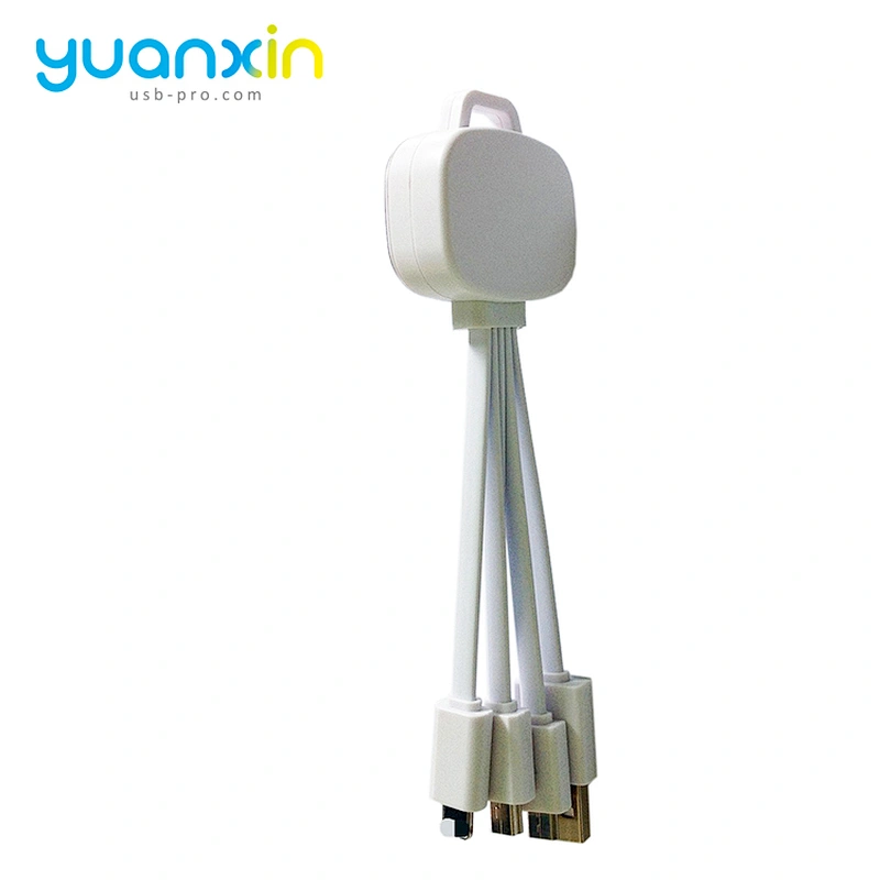 Custom 4 in 1 Illume Charging Cable