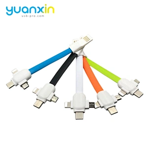 Classic Flip keychain usb cable