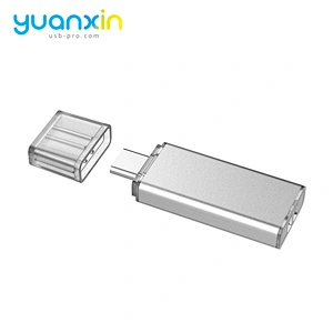 Type-C USB Memory Stick