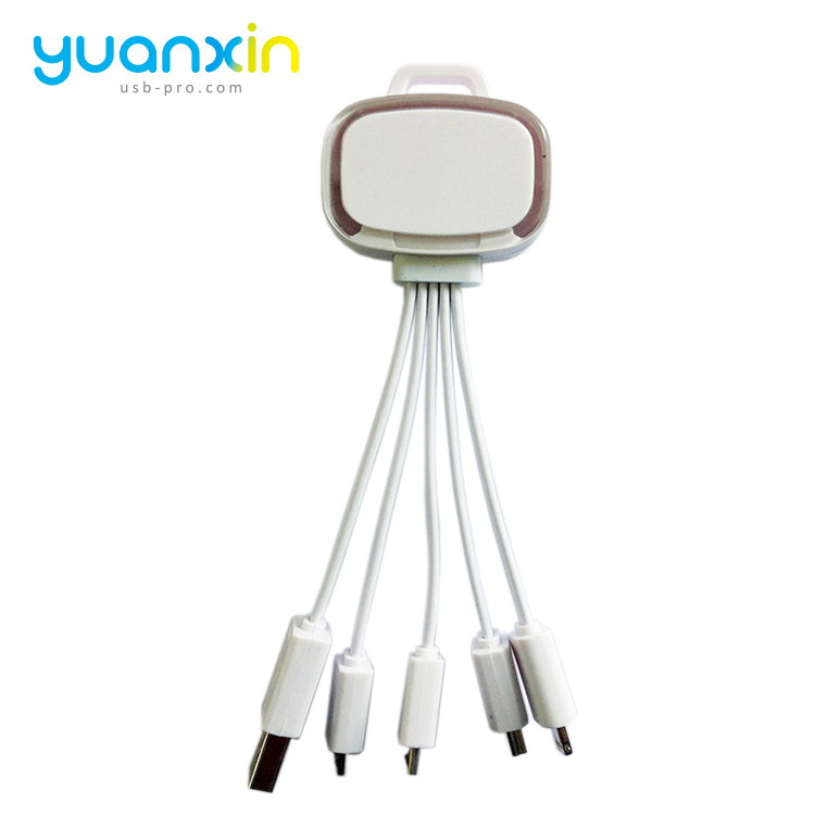 Custom 4 in 1 Illume Charging Cable
