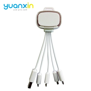 Custom 4 in 1 Illume Charging Cable