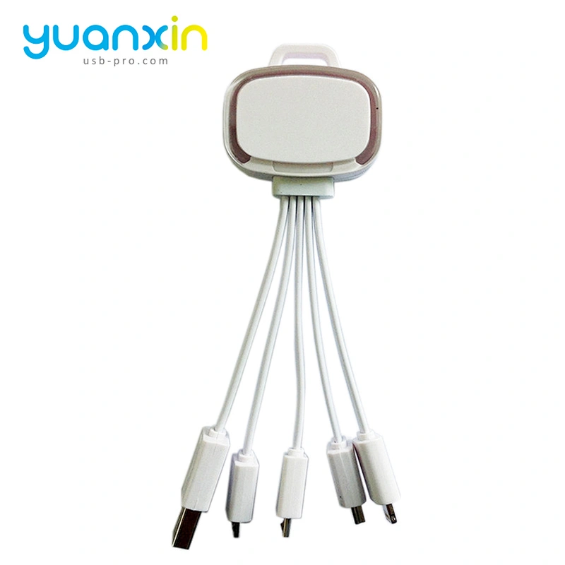 Custom 4 in 1 Illume Charging Cable